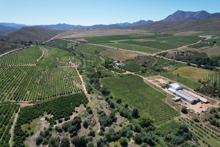 0 Bedroom Property for Sale in Uniondale Rural Western Cape